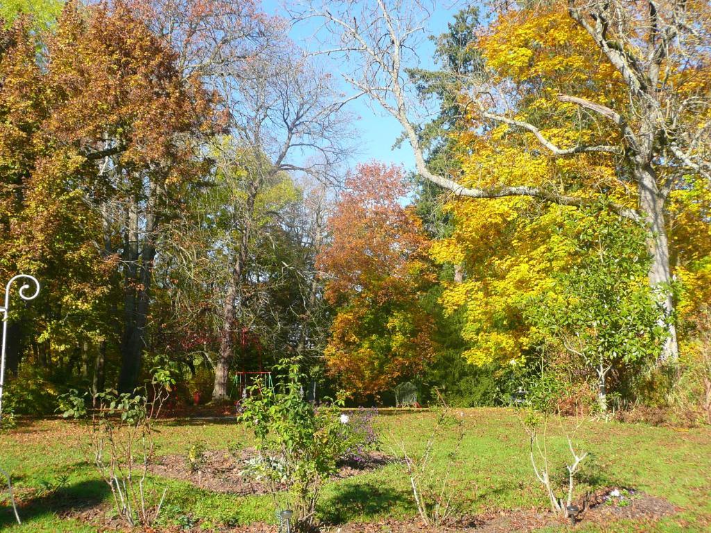 Chambres D'Hotes Et Roulotte Au Bonheur Du Parc Le Breuil  Buitenkant foto